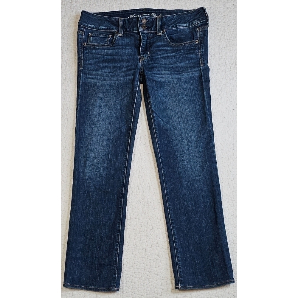 American Eagle Stretch Low-Rise Artist Crop Jean